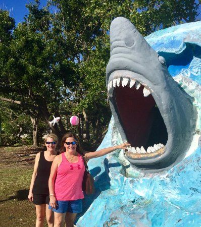 Shady Palm Art Gallery & Photography